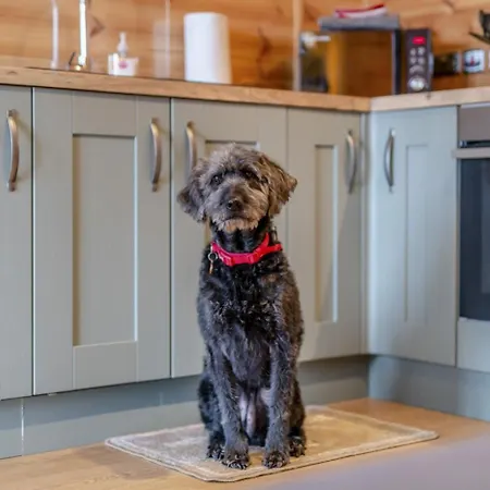 בית נופש Riley East Cowton